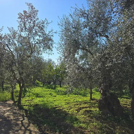 10 Min Airport & Wifi - Wonderful 5 Stars *