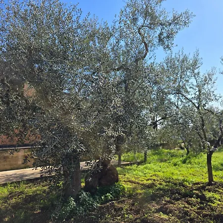 Holiday home 10 Min Airport & Wifi - Wonderful 5 Stars