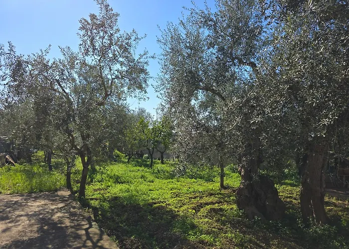 10 Min Airport & Wifi - Wonderful 5 Stars *